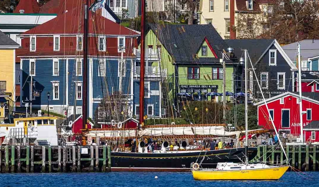 نووا سکوسکیا آزاد اسکول