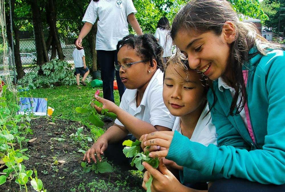Ca pousse and the Importance of School Gardens
